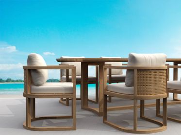 Replacement Cushion Set-223 Junus Deep Seating Set